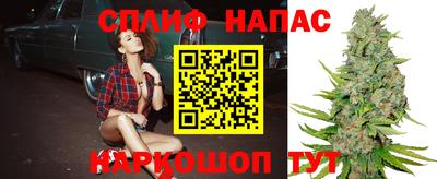 ГАЛЛЮЦИНОГЕННЫЕ ГРИБЫ Шебекино