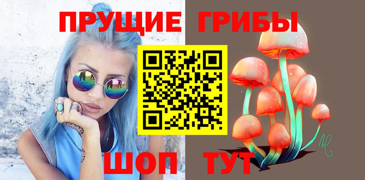 Псилоцибиновые грибы мухоморы  Псилоцибиновые грибы GOLDEN TEACHER  Астрахань  магазин    Вход с VPN 